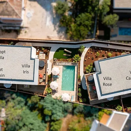 Camelia Jacuzzi Vue * Lacanau