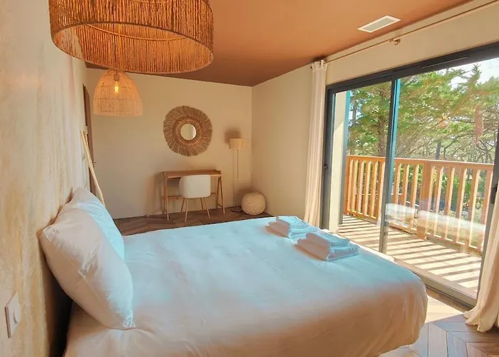 Camelia Jacuzzi Vue * Lacanau